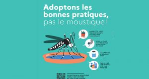 Distribution gratuite de pièges pondoirs à moustiques tigres