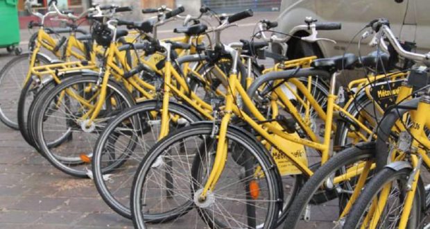 Location gratuite de vélo à la journée & Animations