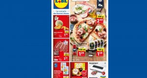 Catalogue Lidl du 7 juin au 13 juin 2023