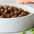 Distribution gratuite de croquettes