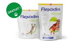 Échantillons Gratuits Nourritures pour Chats ou Chiens Flexadin