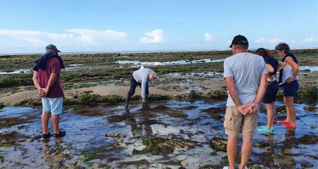 Visite guidée gratuite du littoral et de l'écluse à poissons