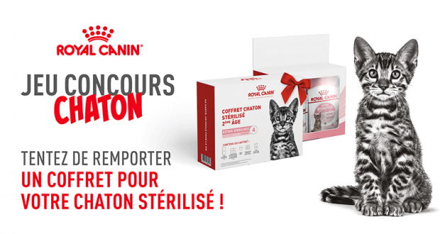 64 coffrets Royal Canin pour chaton à gagner