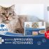2500 Produits Carrefour Companino Expert Chat à tester