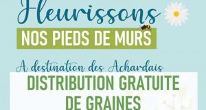 Distribution gratuite de sachets de graines - Les Achards