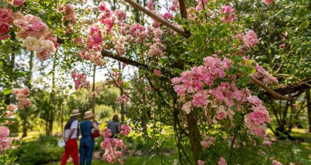 Entrée gratuite à la Roseraie Les Chemins de la Rose