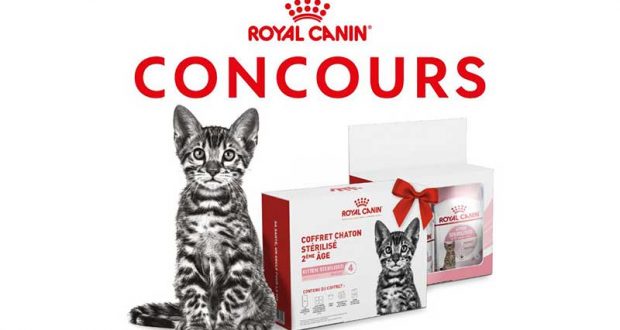 20 box pour chatons stérilisés Royal Canin à gagner