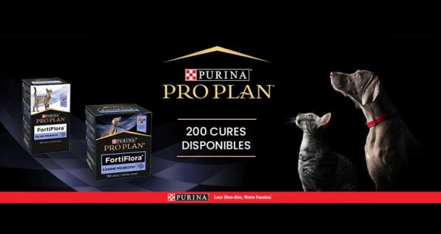 200 Bouchées FortiFlora Purina Pro Plan à tester