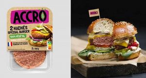 500 Produits ACCRO spécial burger 100% végé à tester