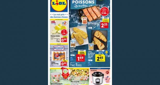 Catalogue Lidl du 31 janvier au 06 février 2024