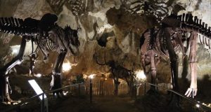 Entrée gratuite au Parc à thème souterrain Dinopédia Expérience