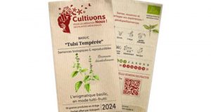 Recevez gratuitement votre sachet de Basilic “Tulsi Tempérée”