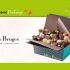 Remportez 30 ballotins gourmands de chocolats Jeff de Bruges