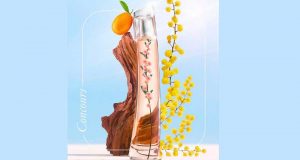 5 parfums Kenzo Flower Ikebana Mimosa offerts