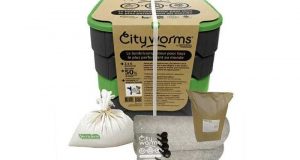 Distribution Gratuite de Lombricomposteurs Cityworms