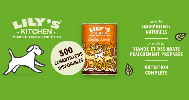 Échantillons Gratuits Nourritures pour Chiens Sunday Lunch