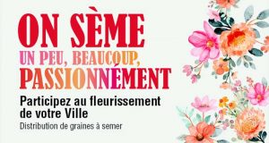 Distribution gratuite de 10 000 sachets de graines à semer