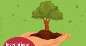 Distribution gratuite d’arbres - Surgères