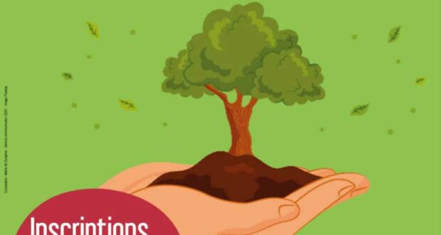 Distribution gratuite d’arbres - Surgères