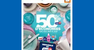 Catalogue Carrefour du 04 février au 17 février 2025