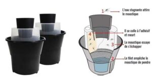 Distribution Gratuite de Kits Pièges Pondoirs à Moustiques Tigres