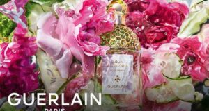 Échantillons de Parfum Aqua Allegoria Rosa Verde Guerlain Paris