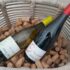 1500 packs de deux bouteilles de Vin de Loire à tester