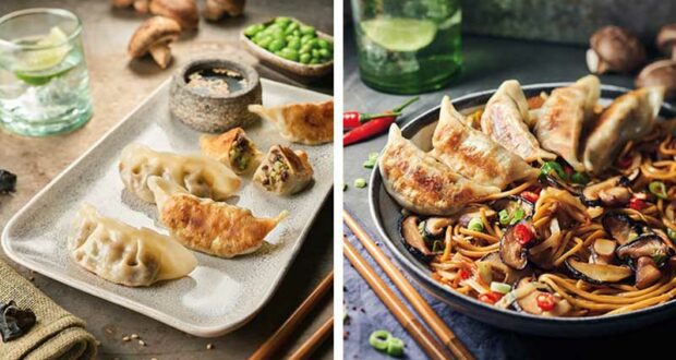 292 Gammes de Gyoza Ajinomoto à tester