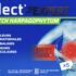 60 Flect'Expert Patch Chaud de IBSA PHARMA à tester