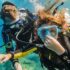 Baptême de Plongée en Mer Gratuit pour toutes les Femmes