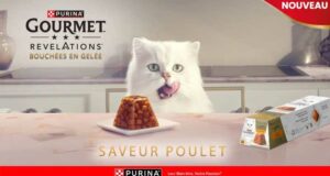 Échantillons gratuits de Bouchées en Gelée pour chats Purina
