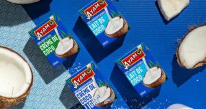 290 crèmes et laits de coco Ayam à tester