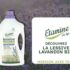 60 Lessive Lavandin Bio Etamine du Lys à tester