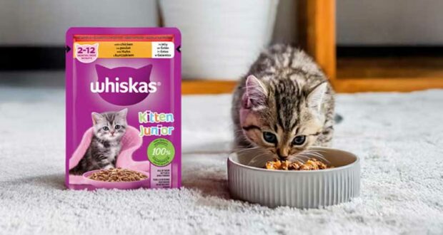 Échantillons gratuits de nourriture pour chatons Whiskas