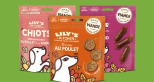 Échantillon gratuit de croquettes pour chiens Lily’s Kitchen