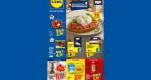 Catalogue Lidl du 16 avril au 22 avril 2026