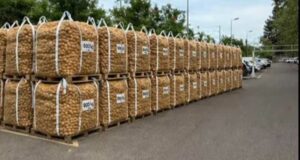 Distribution gratuite de 20 tonnes de pommes de terre
