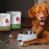 500 Packs Nourritures pour Chien PLATINUM offerts