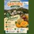 Distribution Gratuite de Fruits et de Légumes
