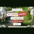 Livraison gratuite sur tout le site chez Gamm Vert