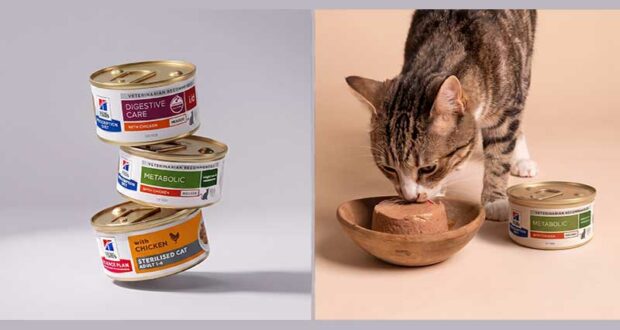 300 packs gratuits de 12 boîtes de mousses Hill’s pour chats