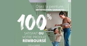 Peinture Rénovation Perfection V33 100% Remboursée