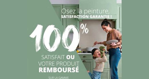 Peinture Rénovation Perfection V33 100% Remboursée