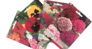 Distribution Gratuite de Sachets de Graines de Fleurs