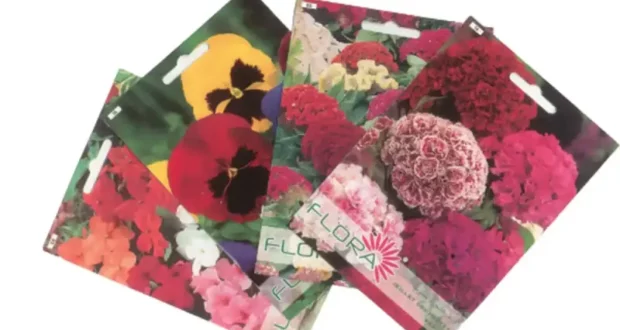 Distribution Gratuite de Sachets de Graines de Fleurs