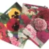 Distribution Gratuite de Sachets de Graines de Fleurs